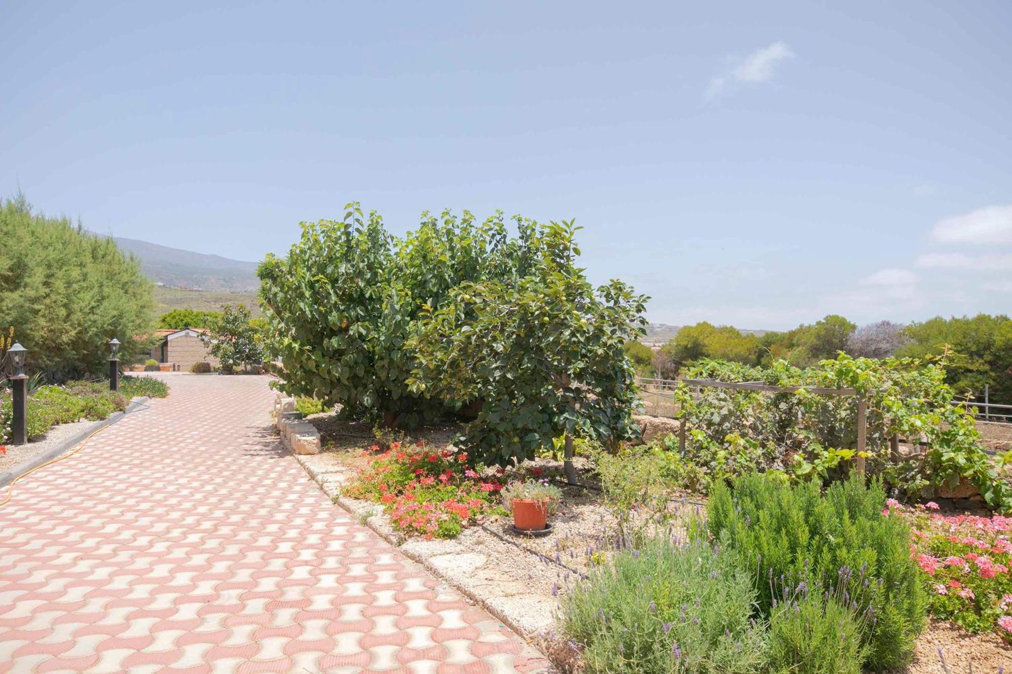 Casa Wayra Villa Granadilla De Abona Exteriör bild